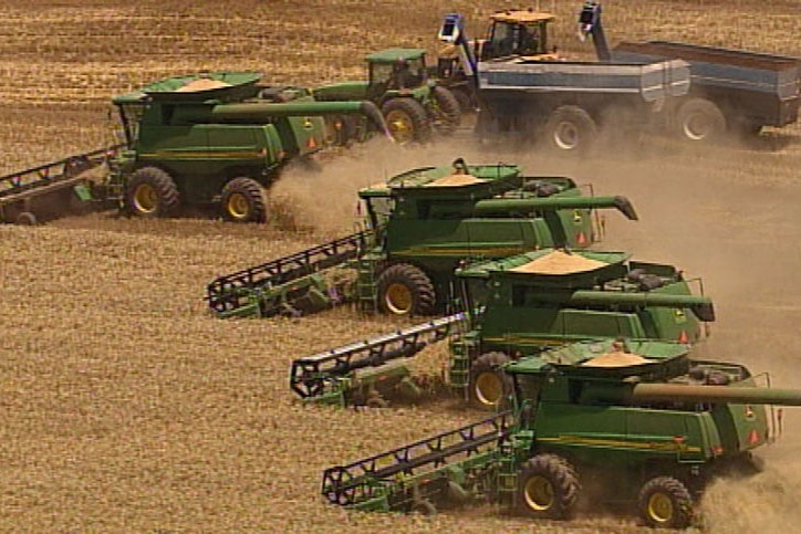 A row of harvesters plough across a field.