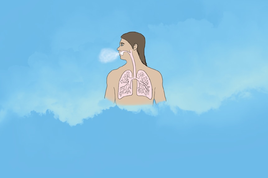 A diagram of a human torso. White vapour is being breathed out.
