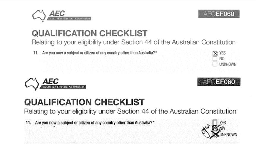 Screen shots of black and white forms with the boxes yes or unsure ticked next to a question about foreign citizenship