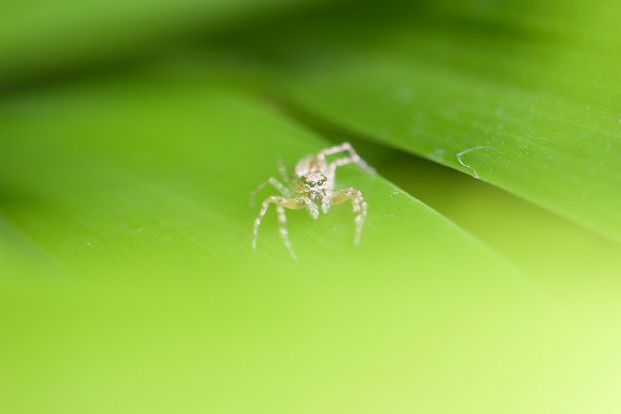 08c0b220e1f45ea2f9860903324be796