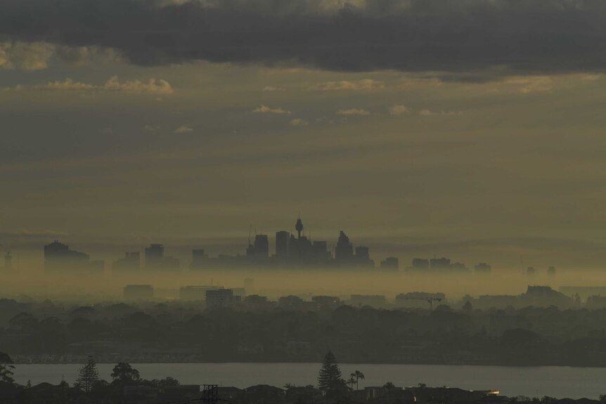 The Sydney CBD is barely recognisable as fog covers the skyline.