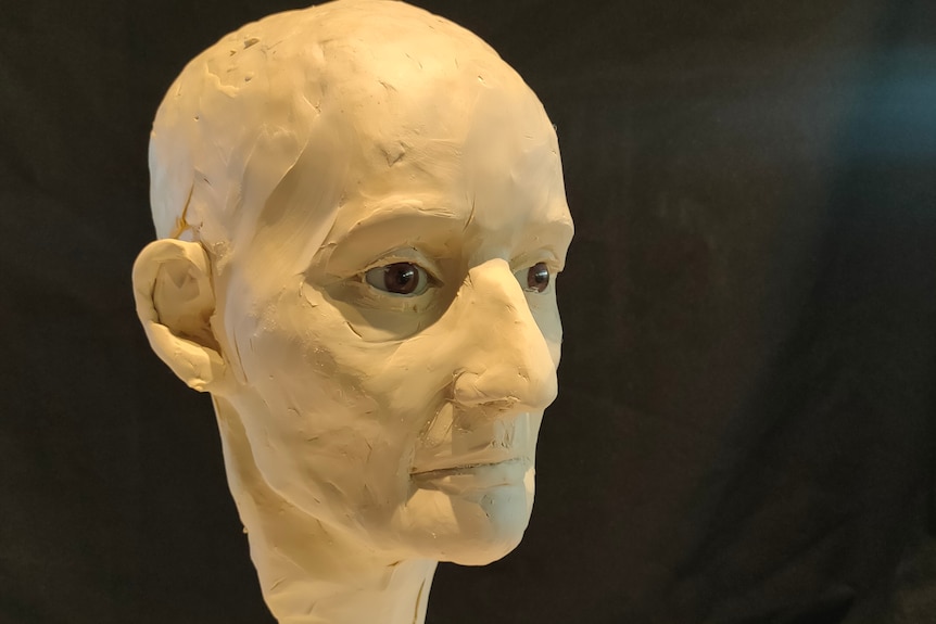 A white clay sculpture of a head with brown eyes