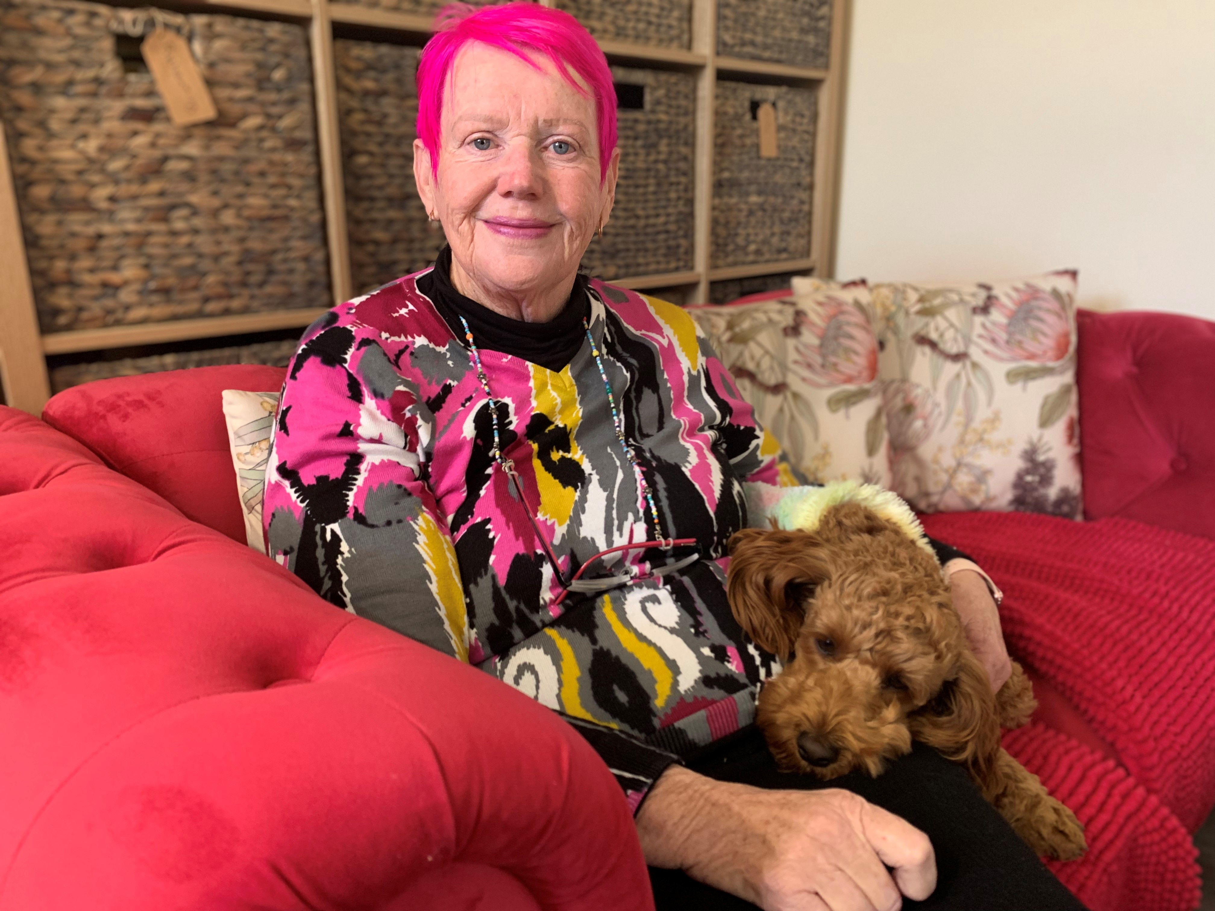 A pink haired Gwenda Darling sits on a pink couch nursing her small dog with a row of labelled shelving behind her.  