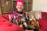 A pink haired Gwenda Darling sits on a pink couch nursing her small dog with a row of labelled shelving behind her.  
