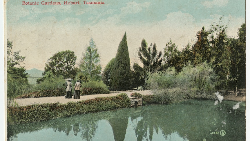 a postcard image of Hobart's botanic gardens. Two people stroll on grass alongside a lake.