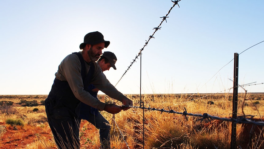 Grant Irving repairing a fence with the sun setting behind him in the Simpson Desert.