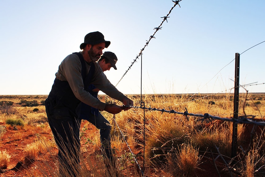 Grant Irving repairing a fence with the sun setting behind him in the Simpson Desert.
