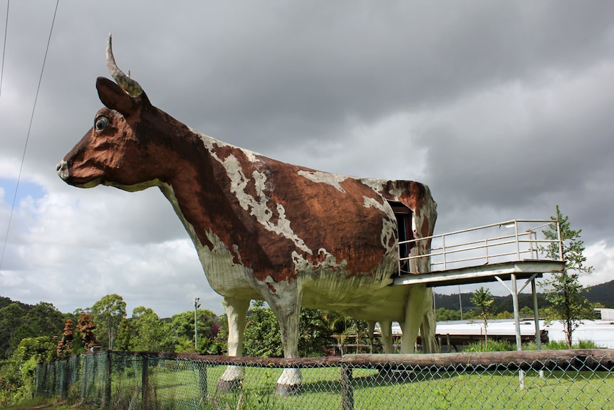 The Big Cow at Kulangoor in the hinterland of the Sunshine Coast is closed and fallen into disrepair.
