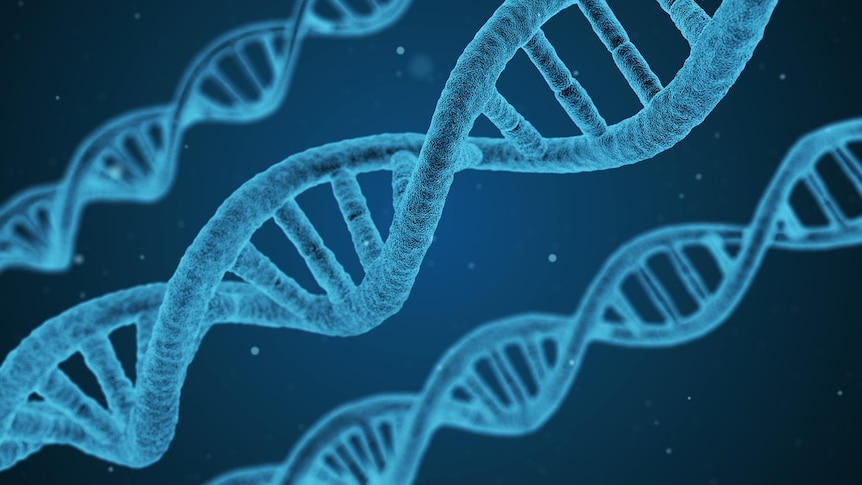 Illustration on three strands of DNA