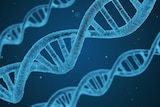 科学家们通过DNA找到了人类真正的起源地。