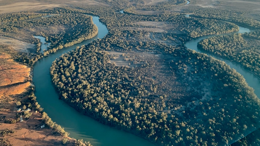 a photo taken from a plane window shows a thin river with lots of twists and turns, and native vegetation on the bank