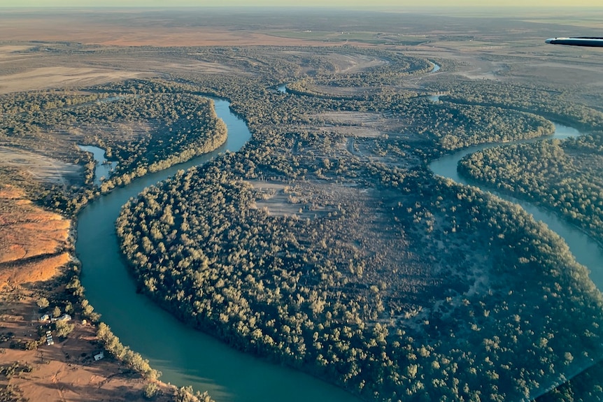 a photo taken from a plane window shows a thin river with lots of twists and turns, and native vegetation on the bank