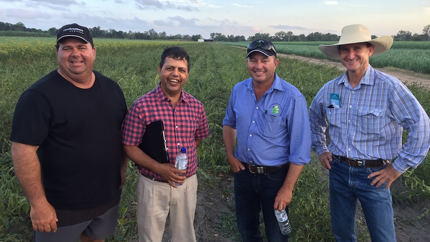 Farmers with spice crops