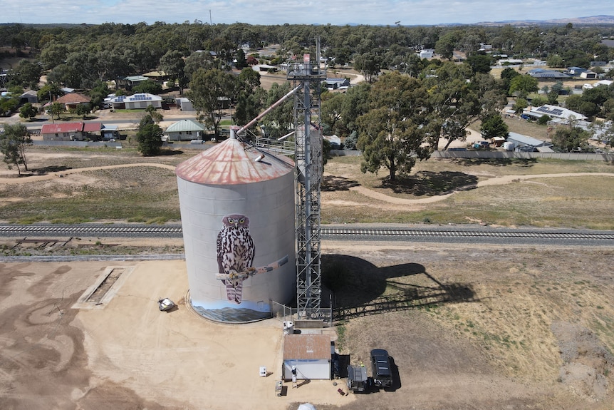 an owl painted on a silo next to Avoca railway station.