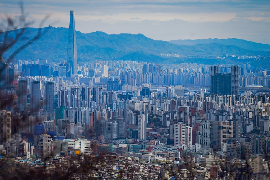 The bustling city of Seoul is seen from a hilltop. It is densely packed with high-rise buildings