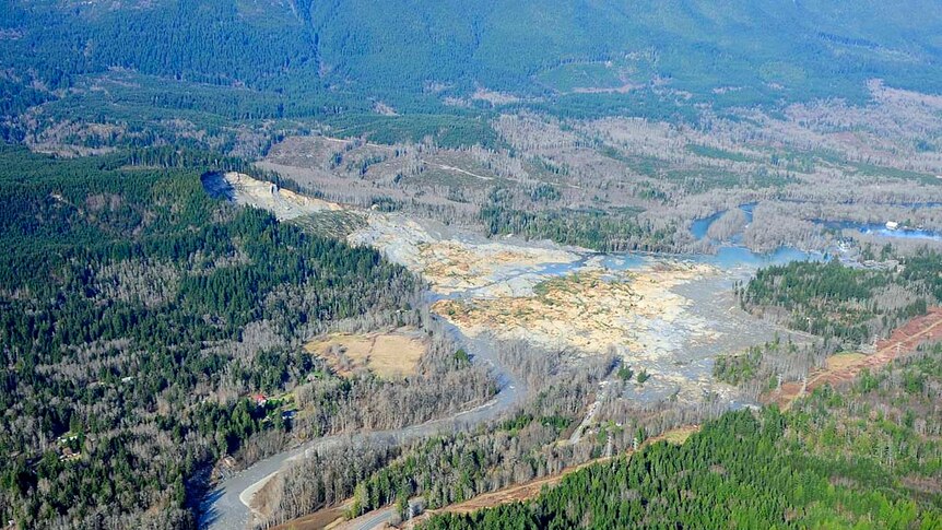 Aerial photo of Washington state mudslide