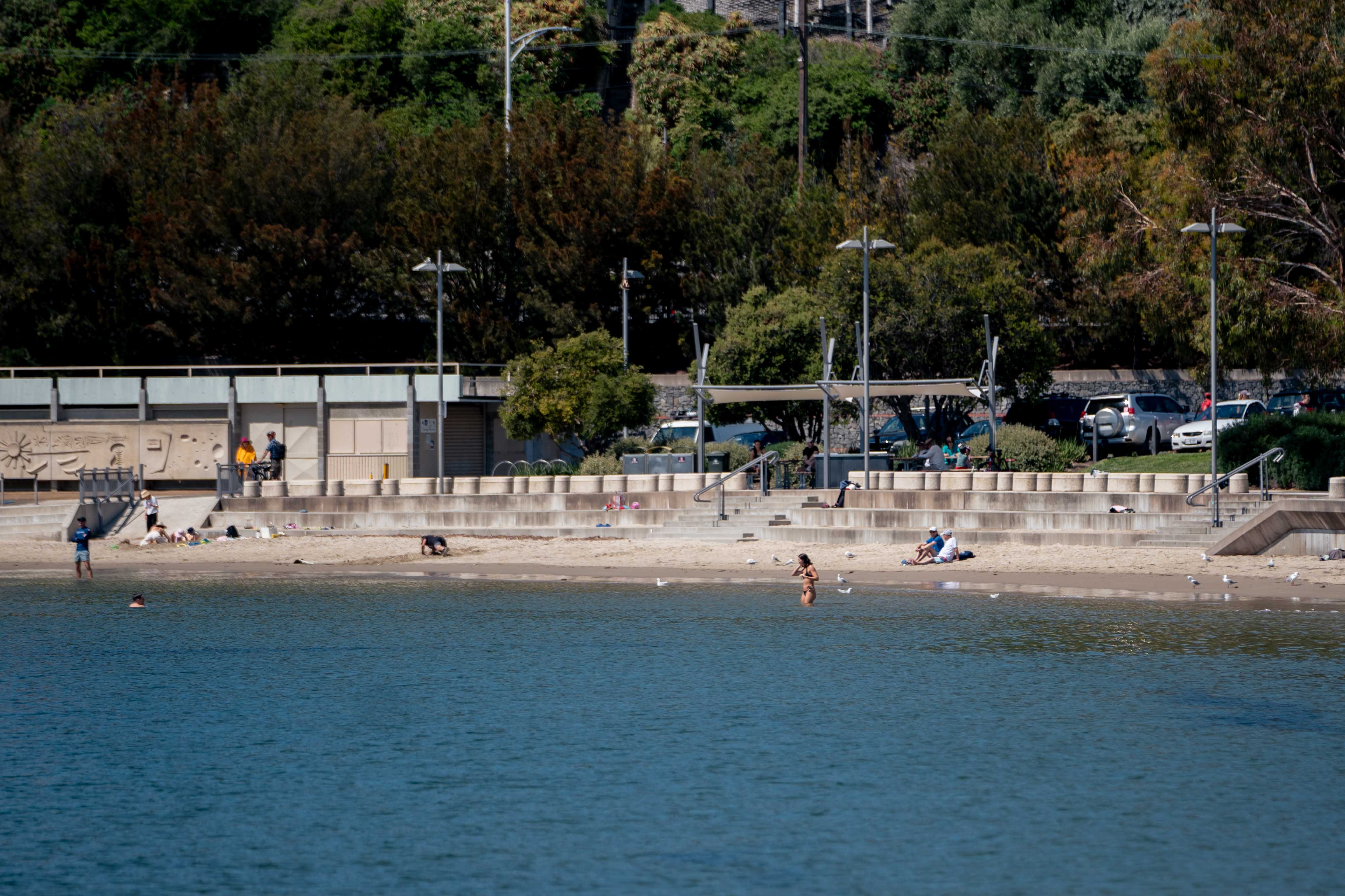 Swimmers at a beach on a sunny day