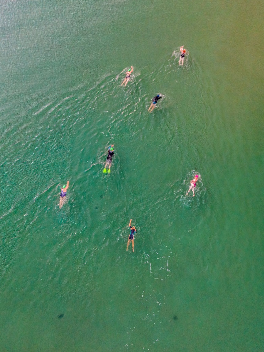 A top down shot of a group of people wearing wetsuits swimming in the ocean.