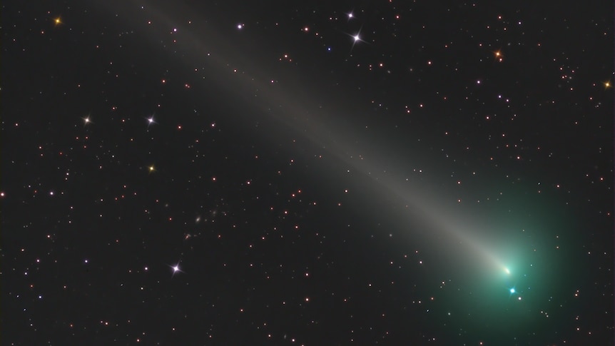 Kometa Leonarda