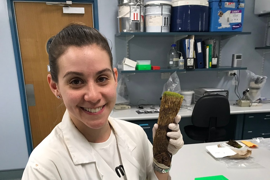 Melinda Waterman holding moss core in the lab