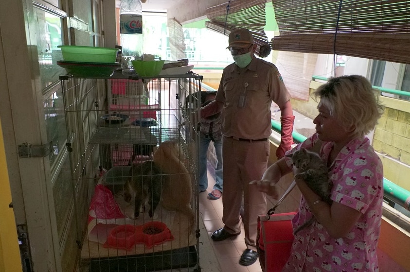 A city vet wearing a mask looks at a cage filled with cats on a balcony, next to a woman holding a cat.