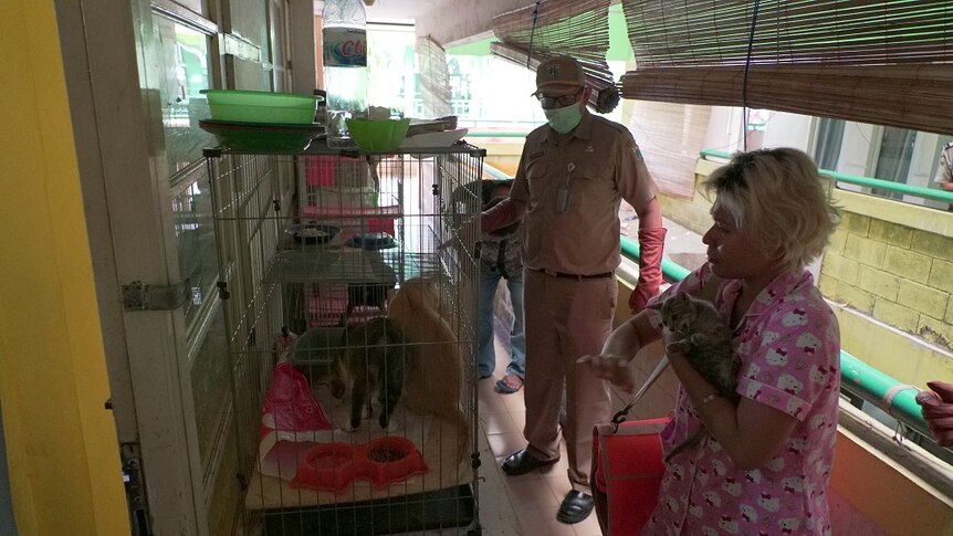 A city vet wearing a mask looks at a cage filled with cats on a balcony, next to a woman holding a cat.
