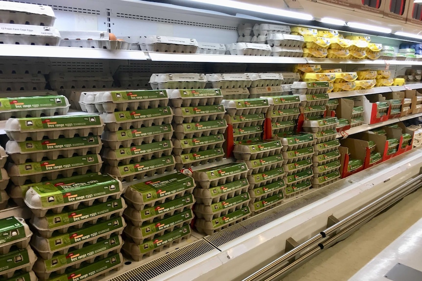 Eggs for sale in a supermarket