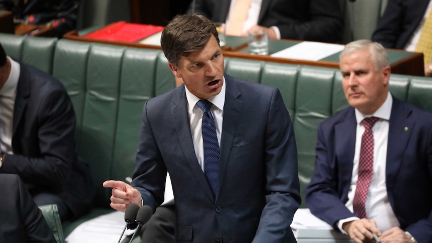 Angus Taylor speaks at the despatch box with his colleagues sitting behind him