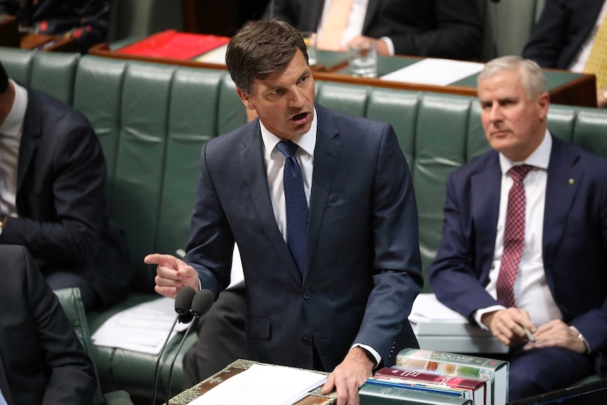 Angus Taylor speaks at the despatch box with his colleagues sitting behind him