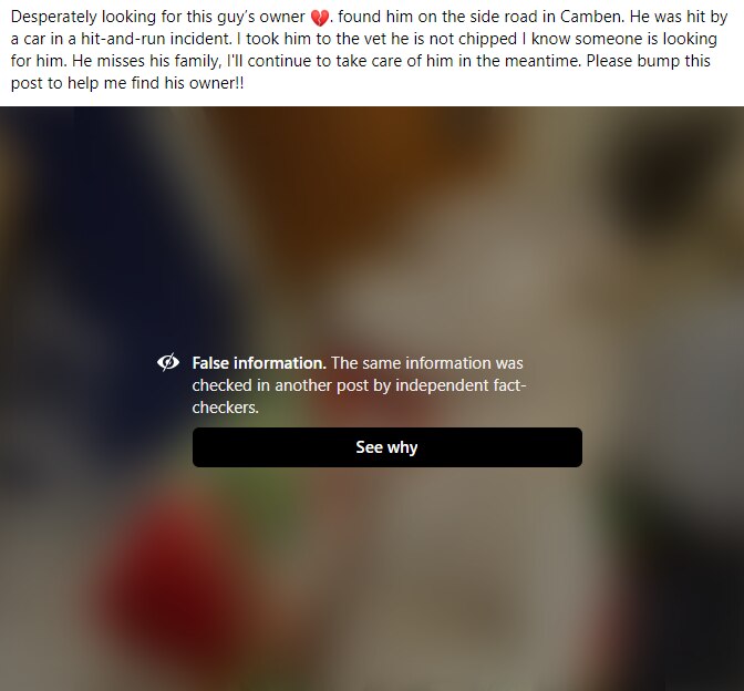 Facebook screen grab saying the post is false information 