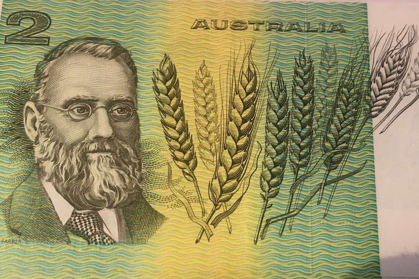 Federation wheat $2