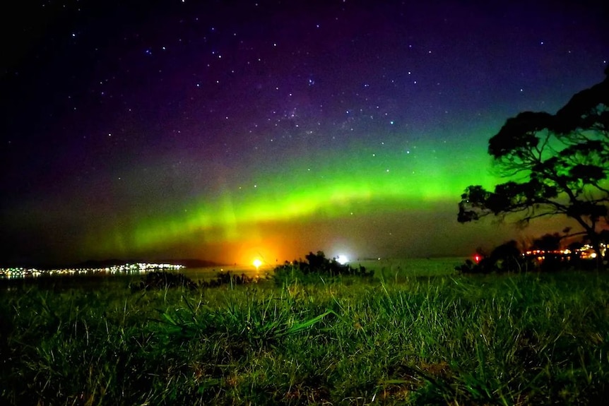 Green. yellow and purple lights in the night sky seen over a field of green grass.