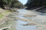 Low flows on the Lower Darling River below Pooncarie