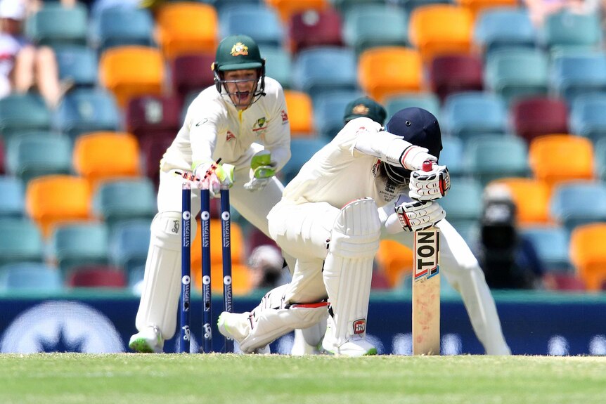 Tim Paine stumps Moeen Ali on day four at the Gabba.
