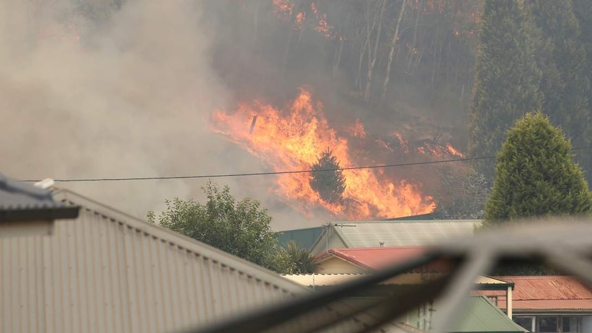 Bright orange flames burn through bushland, just past the tops of suburban houses.