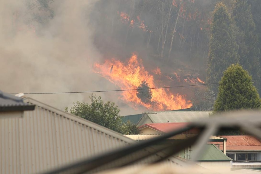 Bright orange flames burn through bushland, just past the tops of suburban houses.