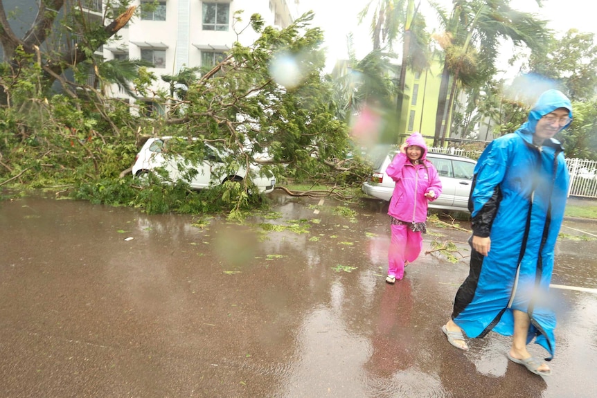 People walk through the CBD past toppled trees wearing rain jackets and ponchos