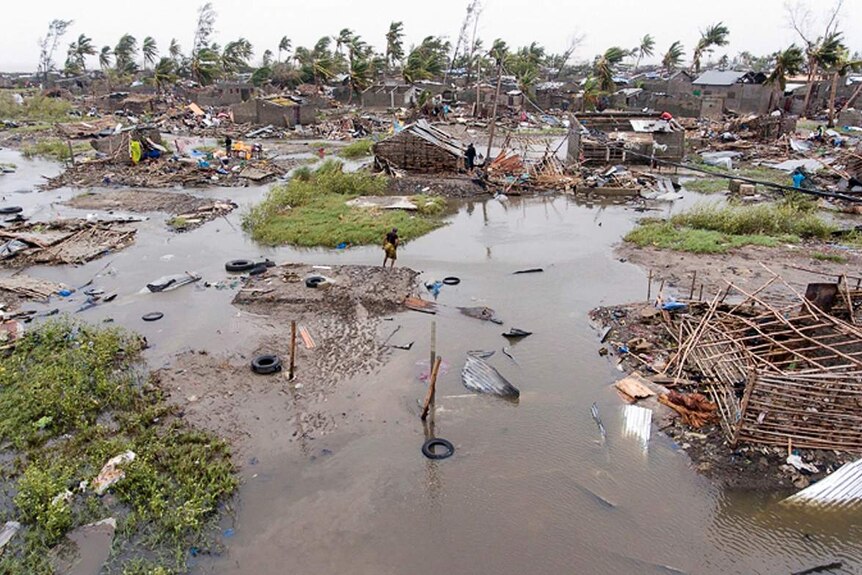 From a high angle, a neighbourhood is flooded with palm trees sharply lurching right with homes reduced to skeletons.