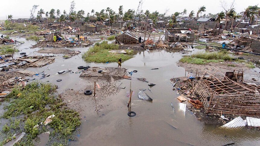 From a high angle, a neighbourhood is flooded with palm trees sharply lurching right with homes reduced to skeletons.