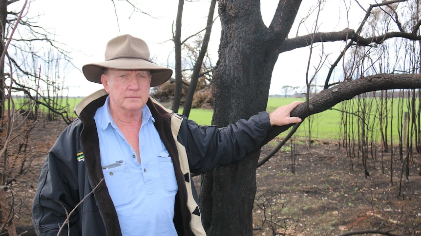 Edward Conheady stands in burnt out bushland near his property in Garvoc, in western Victoria.