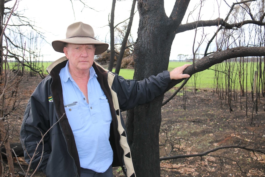 Edward Conheady stands in burnt out bushland near his property in Garvoc, in western Victoria.