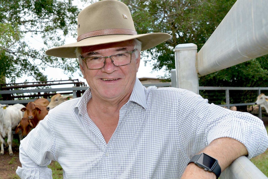 Gary Higgins stands in a cattle yard.