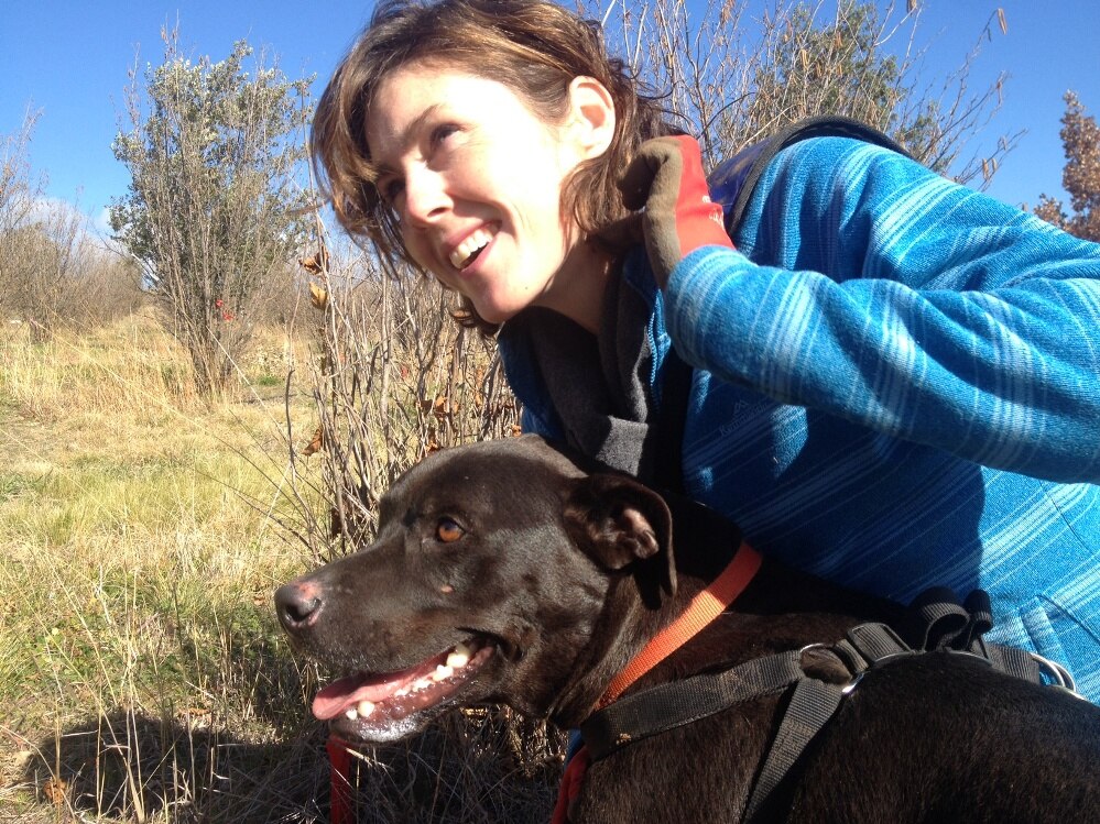 Truffle hunting the art and the science of training dogs to find