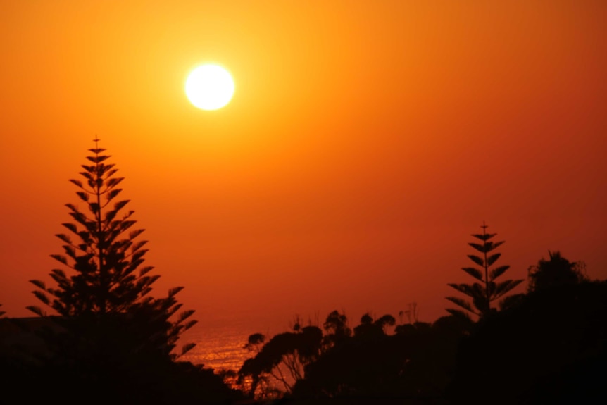 The sun in the sky above water and a silhouette of trees and scrub.