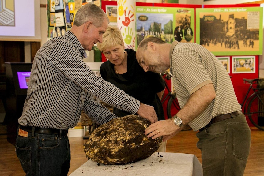 Museum staff inspect bog butter