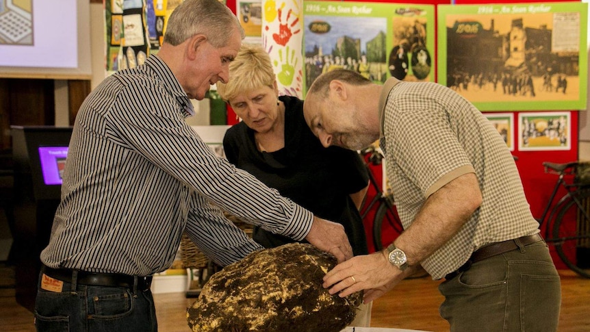 Museum staff inspect bog butter