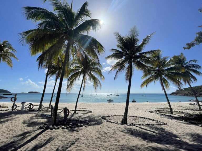 Palm trees line the beach in the foreground while yachts sit on blue water in the distance.