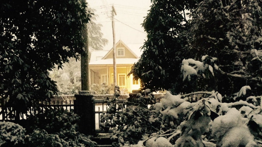 A house and bushes under snowfall at Leura in the Blue Mountains