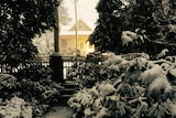 A house and bushes under snowfall at Leura in the Blue Mountains