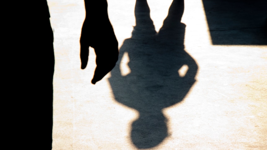 The shadows of two boys are pictured outside, opposing each other 
